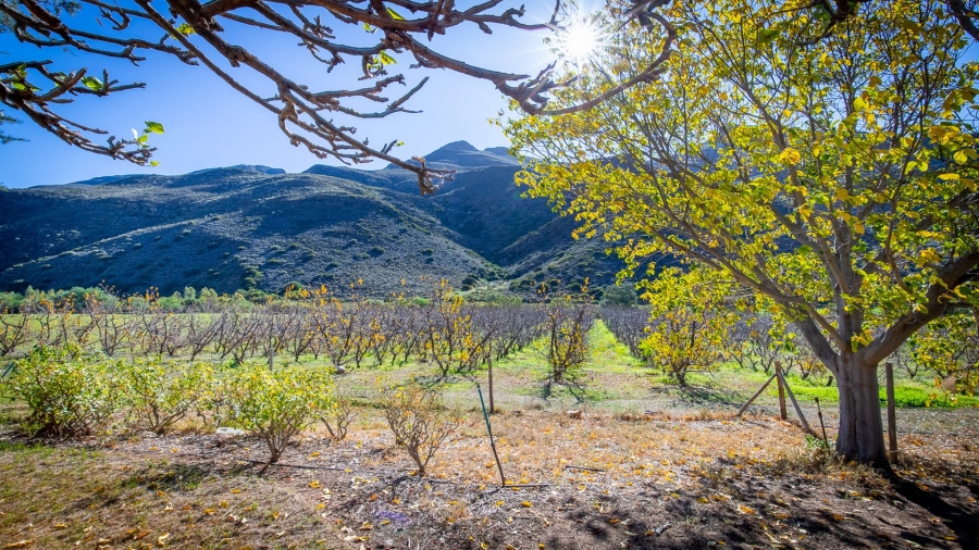 3 Bedroom Property for Sale in Montagu Rural Western Cape